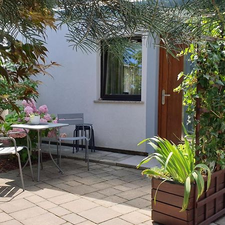 Studio Emma Ljubljana - Free Parking, Ac, Wifi Exteriör bild